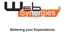 Web Synergies Logo